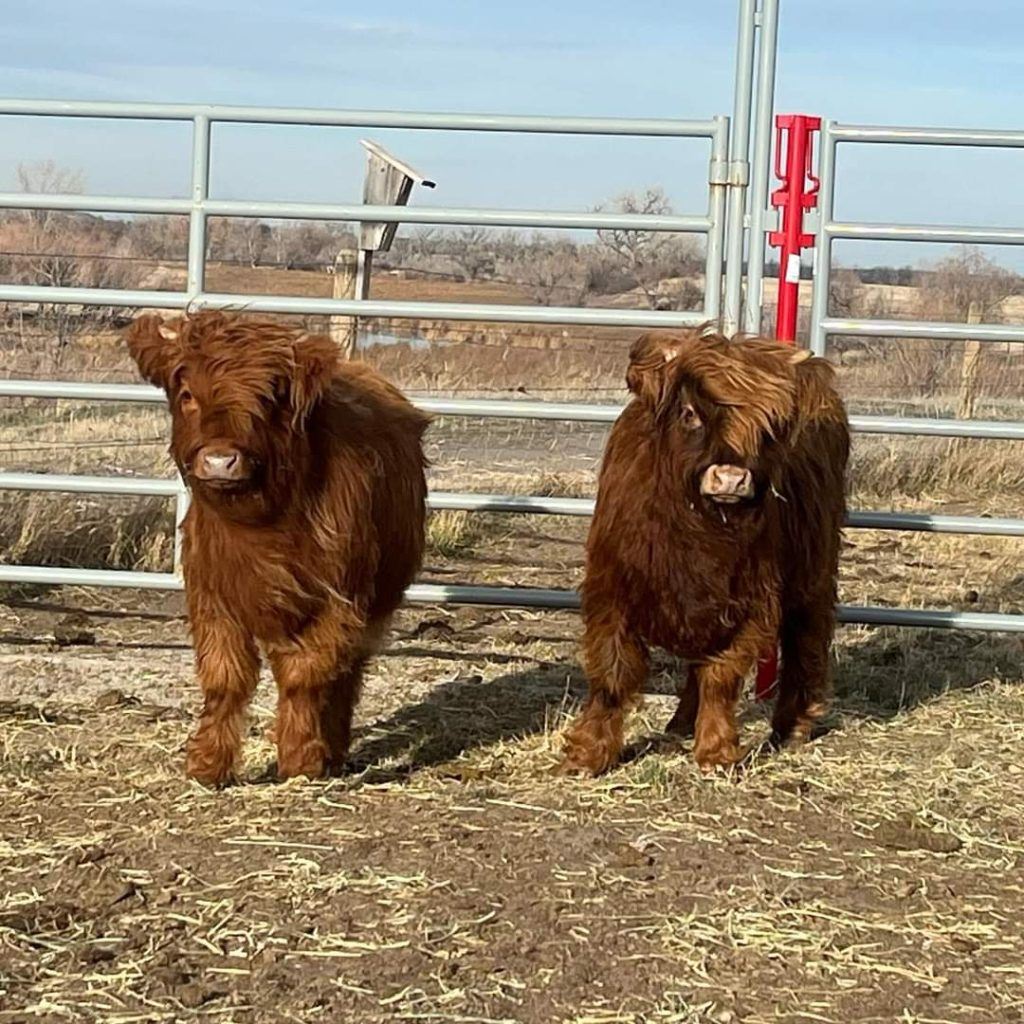 Mac & Molly